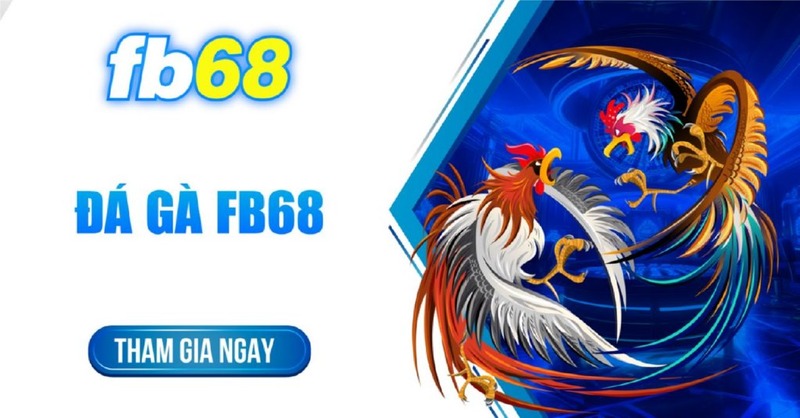 Giới thiệu về sảnh game đá gà Fb68