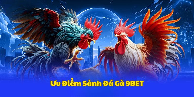 uu-diem-da-ga-9bet