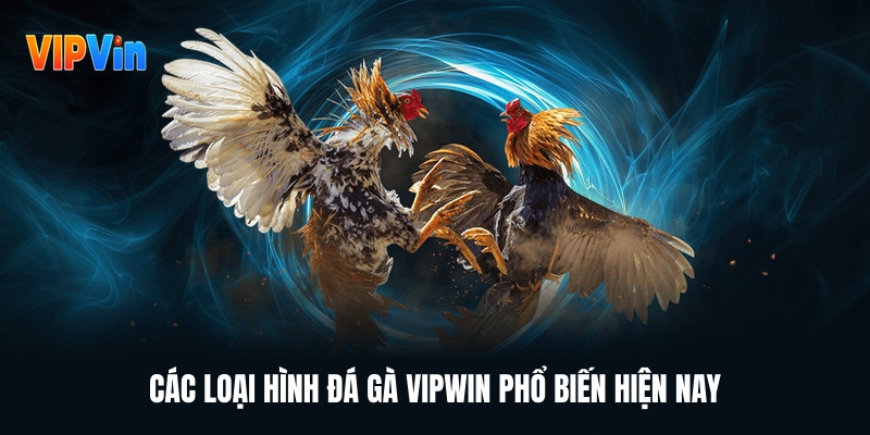 cac-loai-hinh-da-ga-vipwin-pho-bien-hien-nay