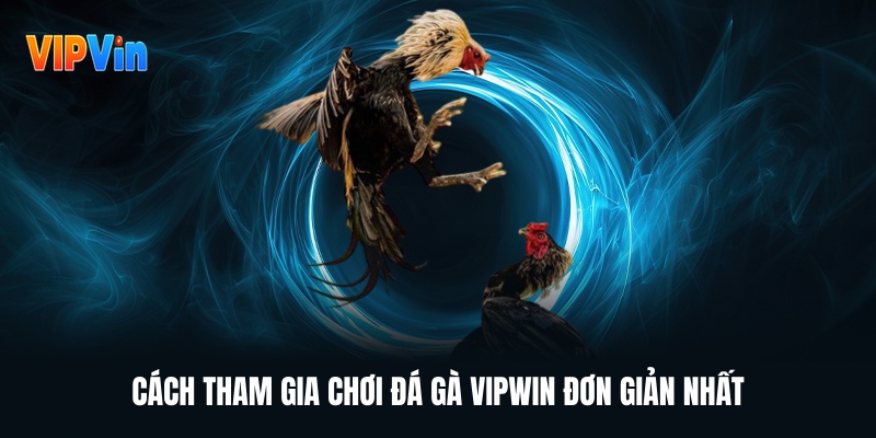 cach-tham-gia-choi-da-ga-vipwin-don-gian-nhat