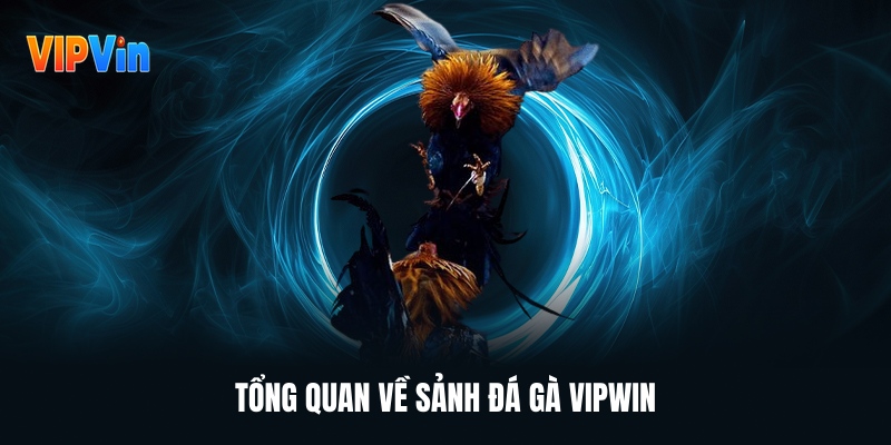 tong-quan-ve-sanh-da-ga-vipwin